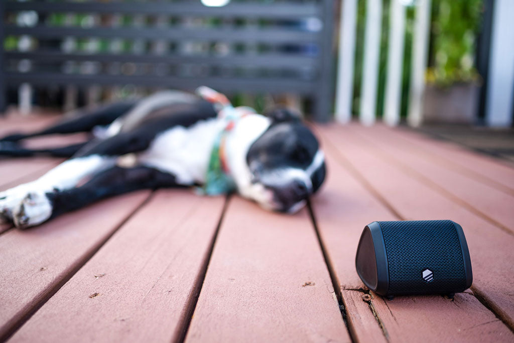 TECH-LIFE MICRO - TECH-LIFE